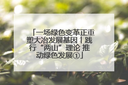 一场绿色变革正重塑大冶发展基因丨践行“两山”理论 推动绿色发展①