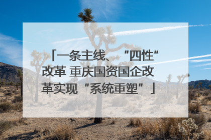 一条主线、“四性”改革 重庆国资国企改革实现“系统重塑”