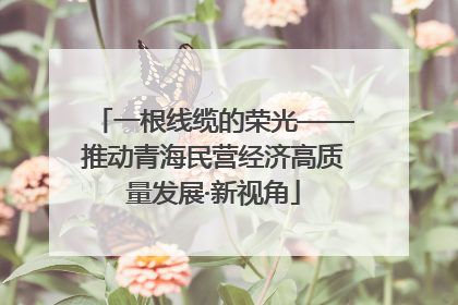 一根线缆的荣光——推动青海民营经济高质量发展·新视角