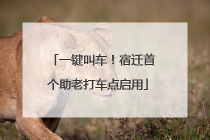 一键叫车！宿迁首个助老打车点启用