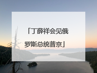 丁薛祥会见俄罗斯总统普京
