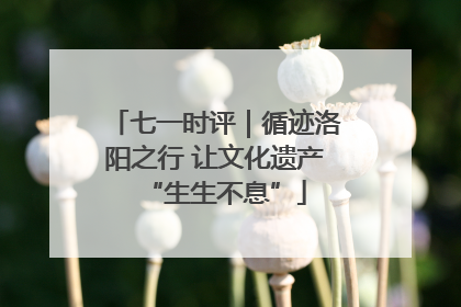 七一时评｜循迹洛阳之行 让文化遗产“生生不息”