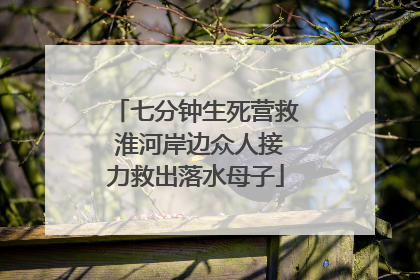 七分钟生死营救 淮河岸边众人接力救出落水母子