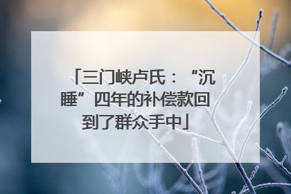 三门峡卢氏：“沉睡”四年的补偿款回到了群众手中