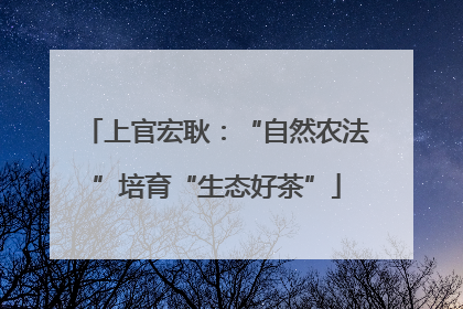 上官宏耿：“自然农法”培育“生态好茶”