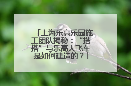 上海乐高乐园施工团队揭秘：“搭搭”与乐高大飞车是如何建造的？