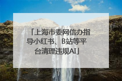 上海市委网信办指导小红书、B站等平台清理违规AI