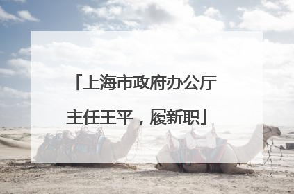 上海市政府办公厅主任王平，履新职