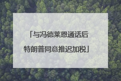 与冯德莱恩通话后 特朗普同意推迟加税