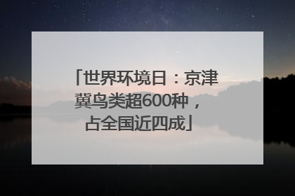 世界环境日：京津冀鸟类超600种，占全国近四成
