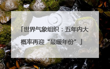 世界气象组织：五年内大概率再迎“最暖年份”