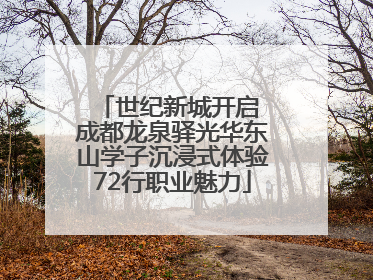 世纪新城开启 成都龙泉驿光华东山学子沉浸式体验72行职业魅力