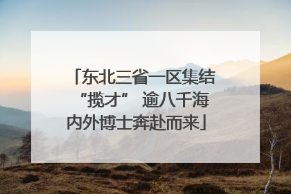 东北三省一区集结“揽才” 逾八千海内外博士奔赴而来