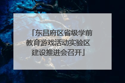 东昌府区省级学前教育游戏活动实验区建设推进会召开