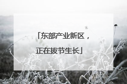 东部产业新区，正在拔节生长
