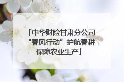 中华财险甘肃分公司“春风行动”护航春耕 保障农业生产