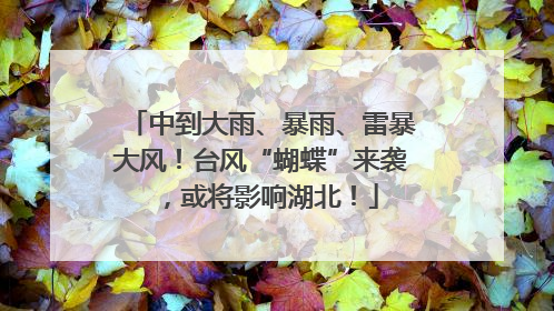中到大雨、暴雨、雷暴大风！台风“蝴蝶”来袭，或将影响湖北！