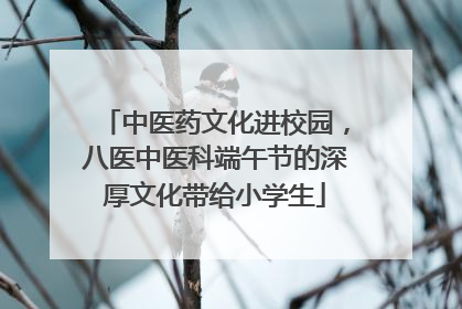 中医药文化进校园，八医中医科端午节的深厚文化带给小学生