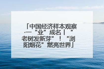 中国经济样本观察·一“业”成名丨“老树发新芽”！“浏阳烟花”燃亮世界