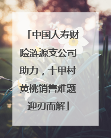 中国人寿财险涟源支公司助力，十甲村黄桃销售难题迎刃而解