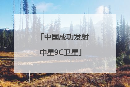 中国成功发射中星9C卫星