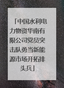 中国水利电力物资华南有限公司党员突击队勇当新能源市场开拓排头兵