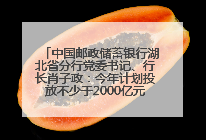 中国邮政储蓄银行湖北省分行党委书记、行长肖子政：今年计划投放不少于2000亿元支持支点建设