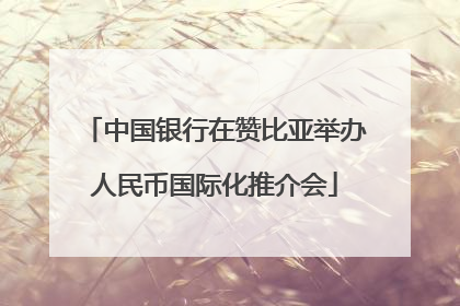 中国银行在赞比亚举办人民币国际化推介会