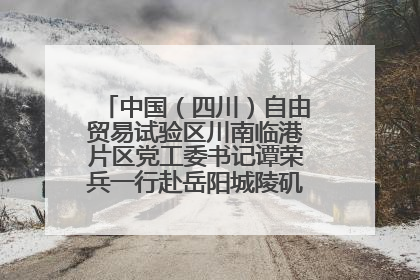 中国（四川）自由贸易试验区川南临港片区党工委书记谭荣兵一行赴岳阳城陵矶综保区考察