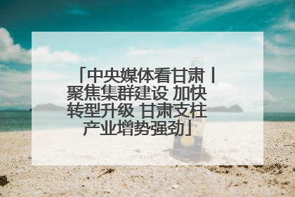 中央媒体看甘肃丨聚焦集群建设 加快转型升级 甘肃支柱产业增势强劲