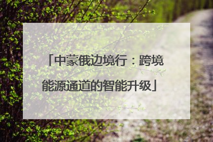 中蒙俄边境行：跨境能源通道的智能升级