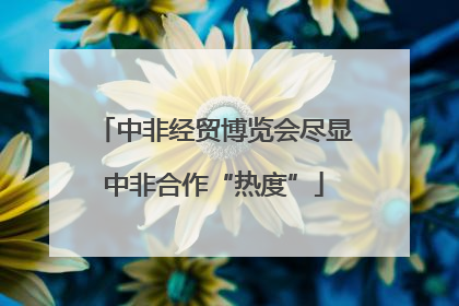 中非经贸博览会尽显中非合作“热度”