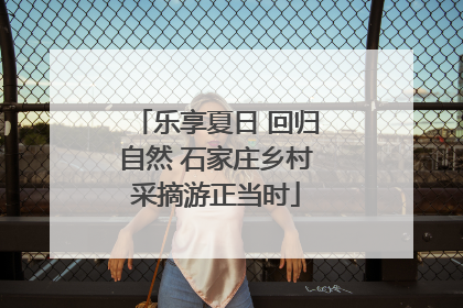 乐享夏日 回归自然 石家庄乡村采摘游正当时