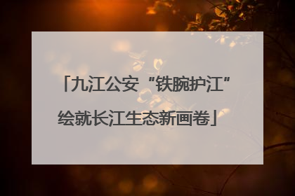 九江公安“铁腕护江”绘就长江生态新画卷
