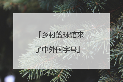 乡村篮球馆来了中外国字号