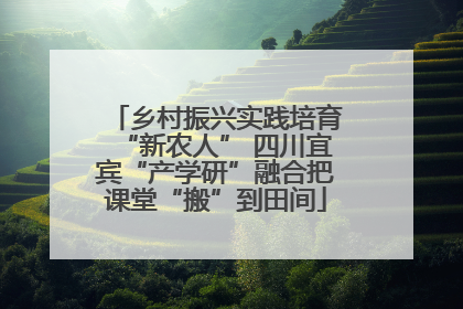 乡村振兴实践培育“新农人” 四川宜宾“产学研”融合把课堂“搬”到田间