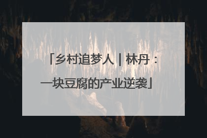 乡村追梦人｜林丹：一块豆腐的产业逆袭