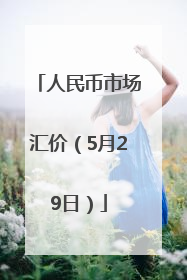 人民币市场汇价（5月29日）