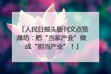 人民日报头版刊文点赞潍坊：把“当家产业”做成“担当产业”！