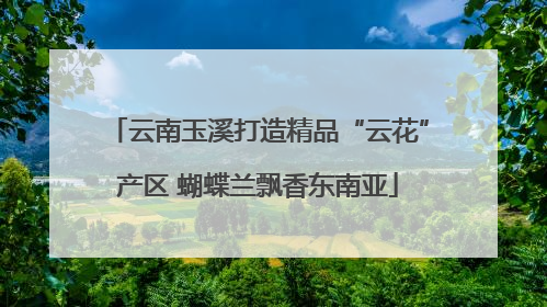 云南玉溪打造精品“云花”产区 蝴蝶兰飘香东南亚