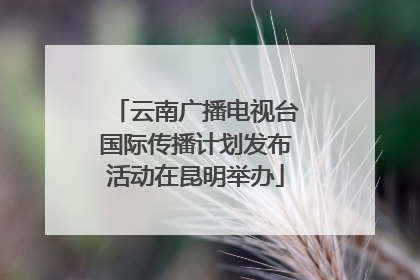 云南广播电视台国际传播计划发布活动在昆明举办