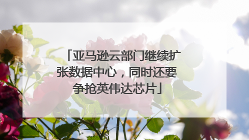 亚马逊云部门继续扩张数据中心，同时还要争抢英伟达芯片