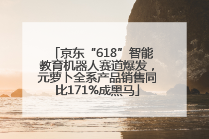 京东“618”智能教育机器人赛道爆发，元萝卜全系产品销售同比171%成黑马