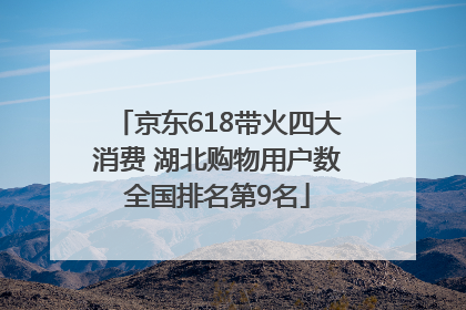 京东618带火四大消费 湖北购物用户数全国排名第9名