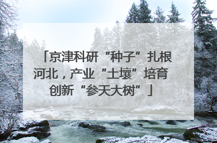 京津科研“种子”扎根河北，产业“土壤”培育创新“参天大树”