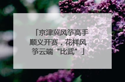 京津冀风筝高手顺义开赛，花样风筝云端“比武”