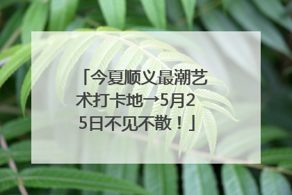 今夏顺义最潮艺术打卡地→5月25日不见不散！
