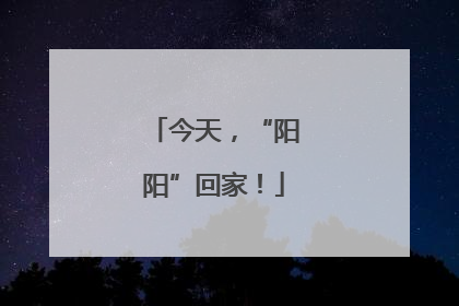 今天，“阳阳”回家！