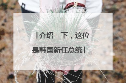 介绍一下，这位是韩国新任总统