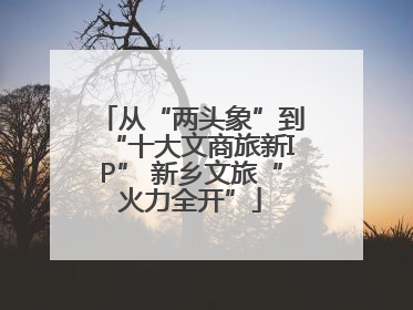 从“两头象”到“十大文商旅新IP” 新乡文旅“火力全开”